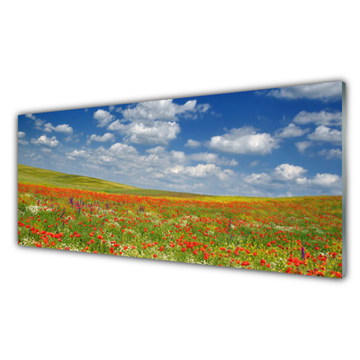 Obraz na akrylátovom skle Lúka kvety príroda