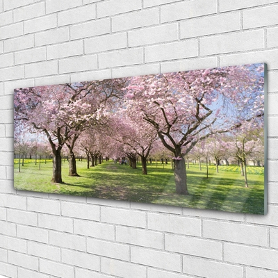 Obraz na akrylátovom skle Chodník stromy príroda