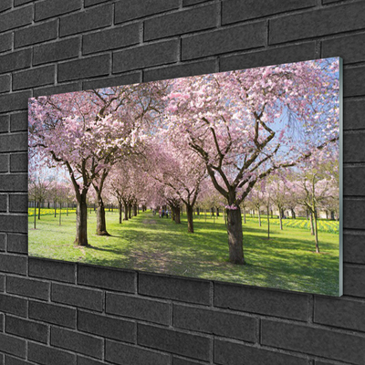 Obraz na akrylátovom skle Chodník stromy príroda