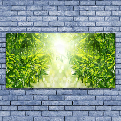 Obraz na akrylátovom skle Listy príroda rastlina