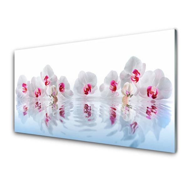 Obraz na akrylátovom skle Kvety rastlina príroda umenie
