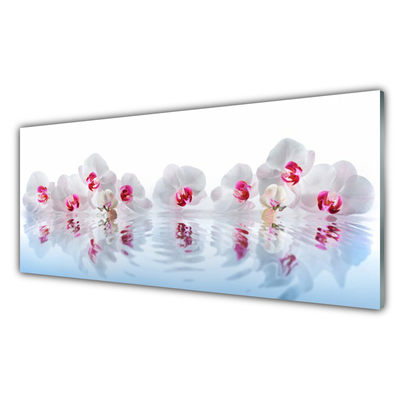 Obraz na akrylátovom skle Kvety rastlina príroda umenie