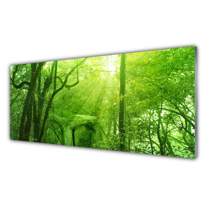 Obraz na akrylátovom skle Stromy príroda