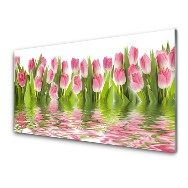 Obraz plexi Tulipány rastlina príroda