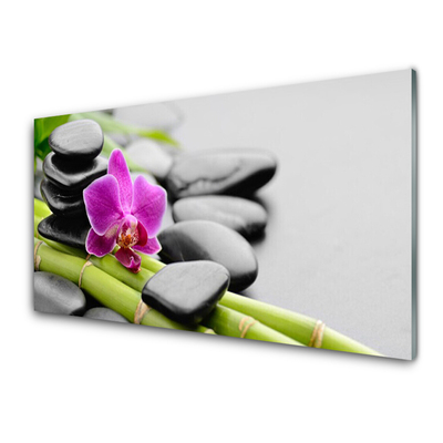 Obraz plexi Bambus kvet kamene umenie
