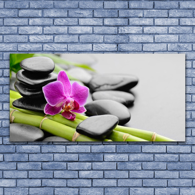 Obraz plexi Bambus kvet kamene umenie