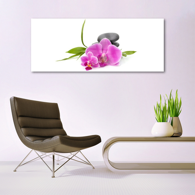 Obraz plexi Kvet kamene rastlina