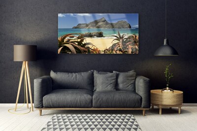 Obraz plexi Pláž more skala príroda