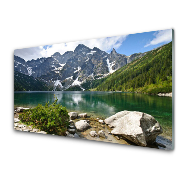 Obraz plexi Jazero hory príroda