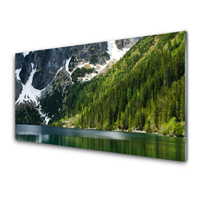 Obraz plexi Jazero les hory príroda