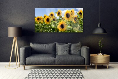 Obraz plexi Slnečnica kvet rastlina