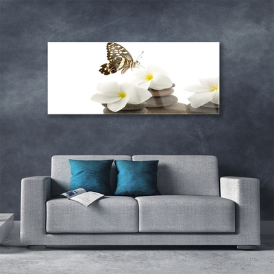Obraz plexi Motýľ kvet kamene rastlina