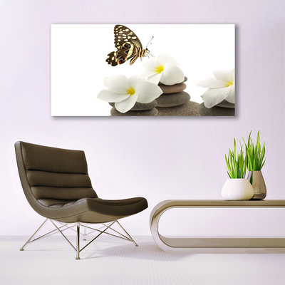 Obraz plexi Motýľ kvet kamene rastlina