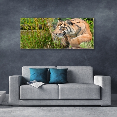 Obraz plexi Tiger zvieratá