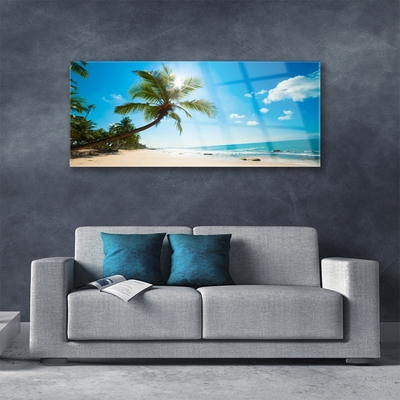 Obraz plexi Palma strom pláž krajina