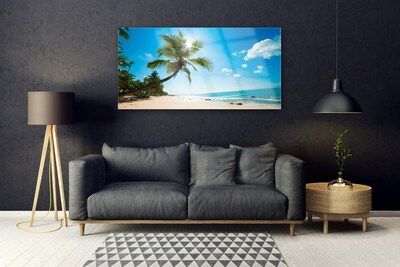 Obraz plexi Palma strom pláž krajina