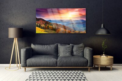 Obraz plexi Hora les slnko krajina