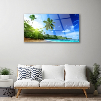 Obraz plexi Pláž more palma krajina