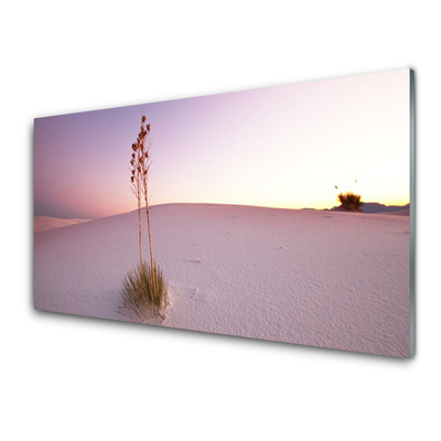 Obraz plexi Púšť písek krajina
