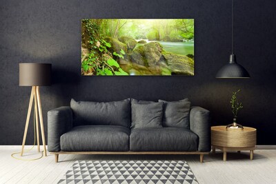 Obraz plexi Jazero kamene príroda