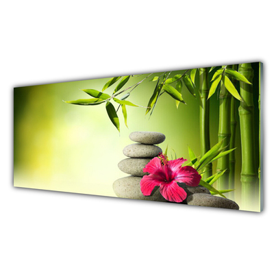 Obraz plexi Bambus kvet kamene zen