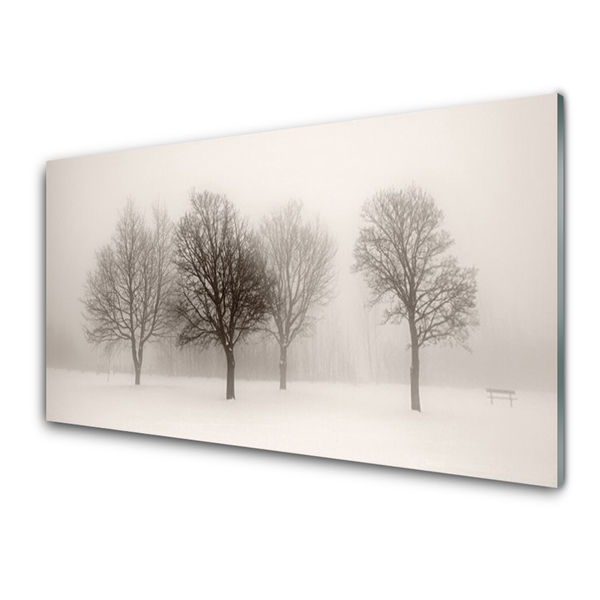 Obraz plexi Sneh stromy príroda