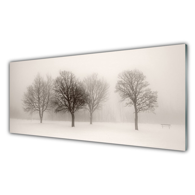 Obraz plexi Sneh stromy príroda