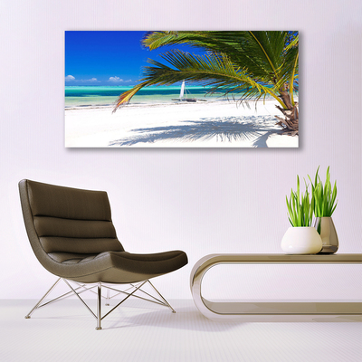Obraz plexi Pláž palma príroda