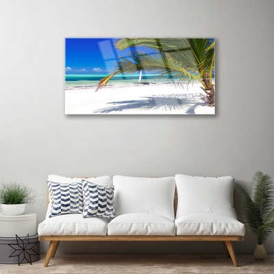 Obraz plexi Pláž palma príroda