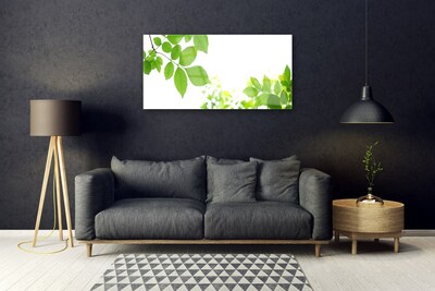 Obraz plexi Plátky rastlina príroda