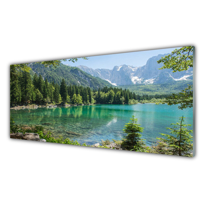 Obraz plexi Hory jazero les príroda