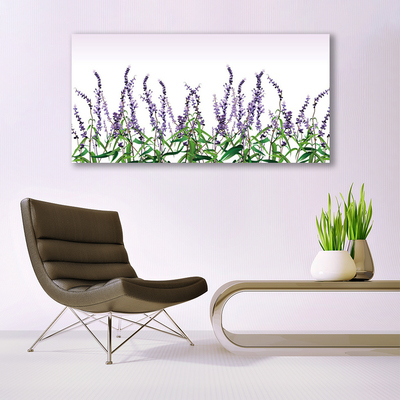 Obraz plexi Kvety rastlina príroda