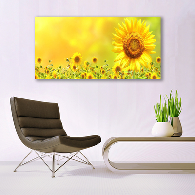 Obraz plexi Slnečnica kvet rastlina