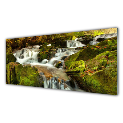 Obraz plexi Vodopád skaly príroda