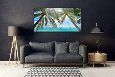 Obraz plexi Palma strom more krajina