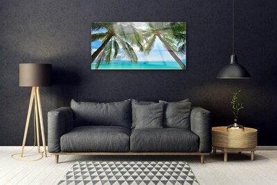 Obraz plexi Palma strom more krajina
