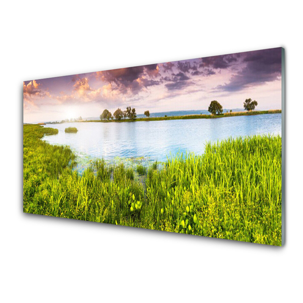 Obraz plexi Tráva jazero príroda