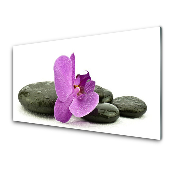 Obraz plexi Kvet kamene umenie