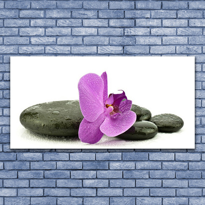 Obraz plexi Kvet kamene umenie