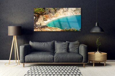 Obraz plexi Záliv more skaly pláž