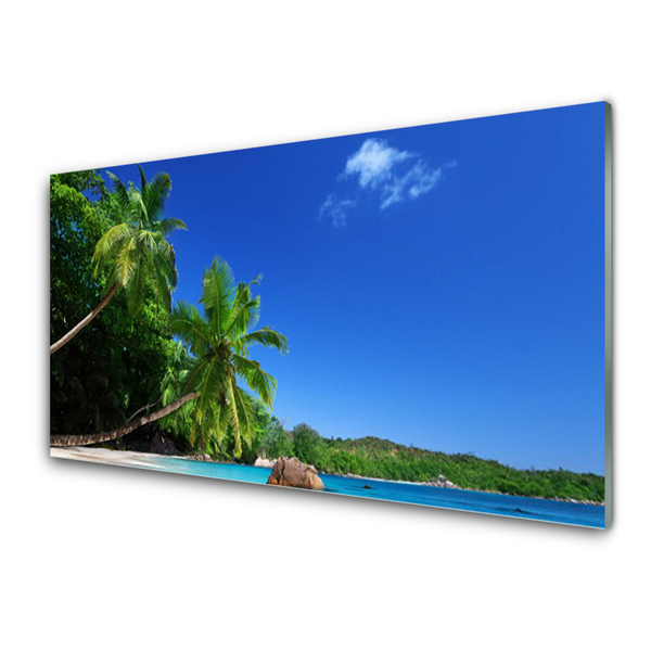 Obraz plexi Palma stromy pláž krajina