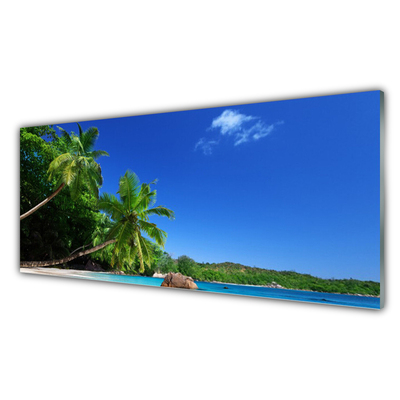 Obraz plexi Palma stromy pláž krajina