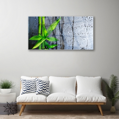 Obraz plexi Bambus list rastlina príroda