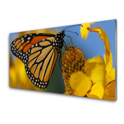 Obraz plexi Motýľ kvet príroda