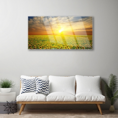 Obraz plexi Slnko lúka slnečnica