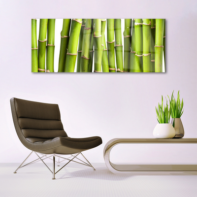 Obraz plexi Bambus rastlina príroda