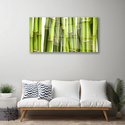 Obraz plexi Bambus rastlina príroda