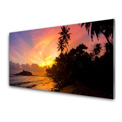 Obraz plexi More slnko palmy krajina