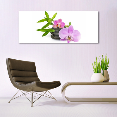Obraz plexi Kvet kamene rastlina