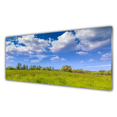 Obraz plexi Lúka tráva nebo krajina